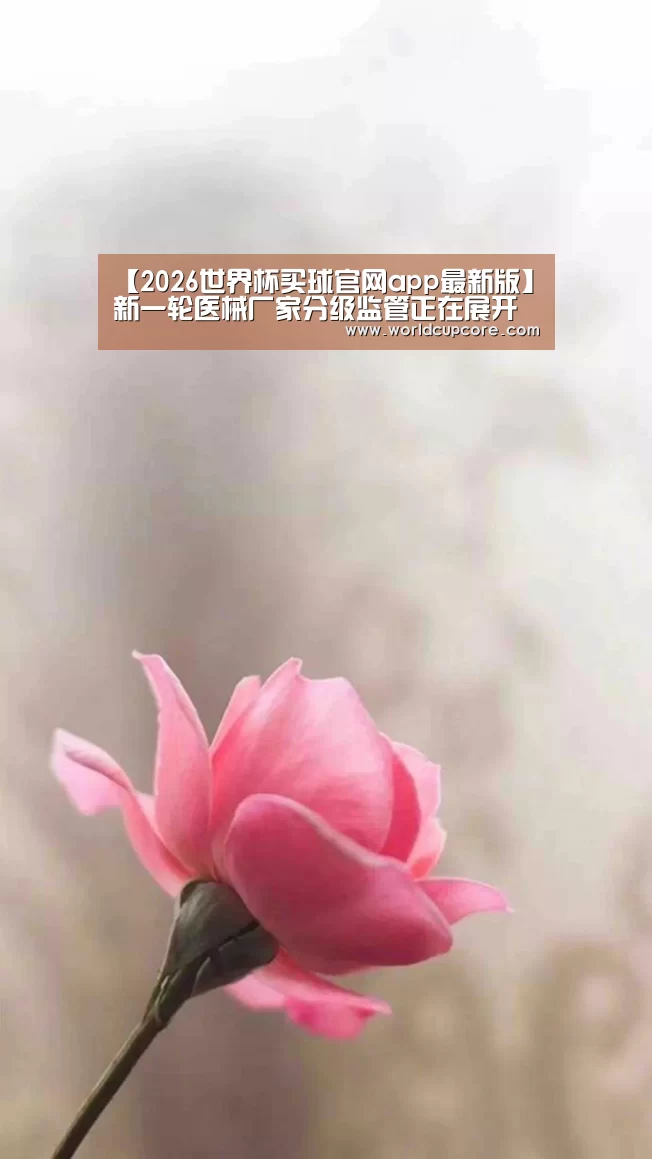 2026世界杯买球官网app最新版