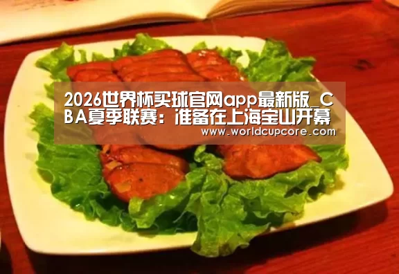 2026世界杯买球官网
