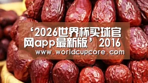 2026世界杯买球官网