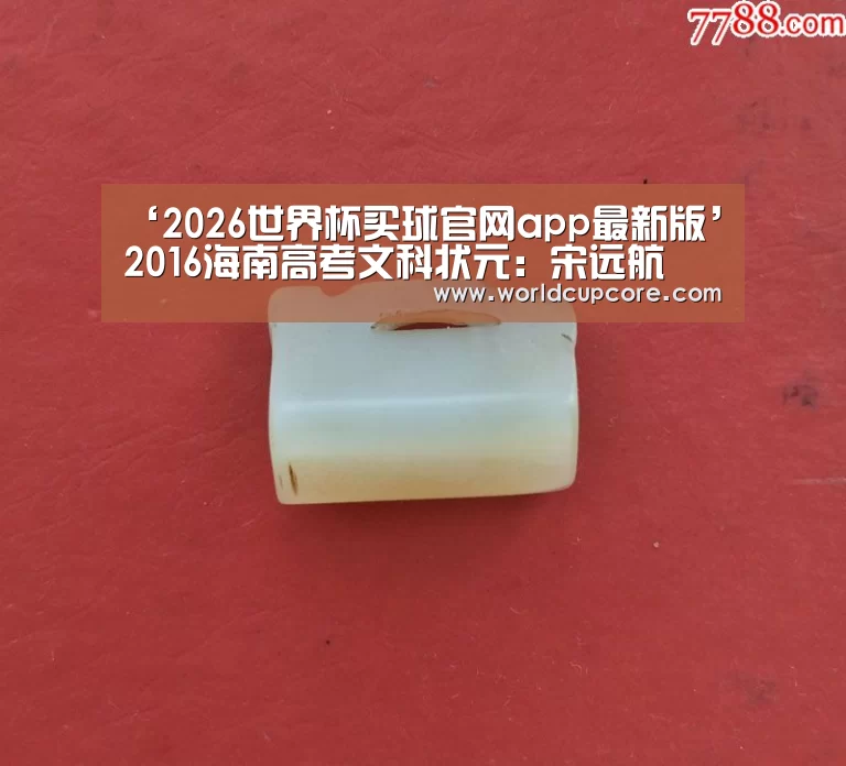 2026世界杯买球官网app最新版