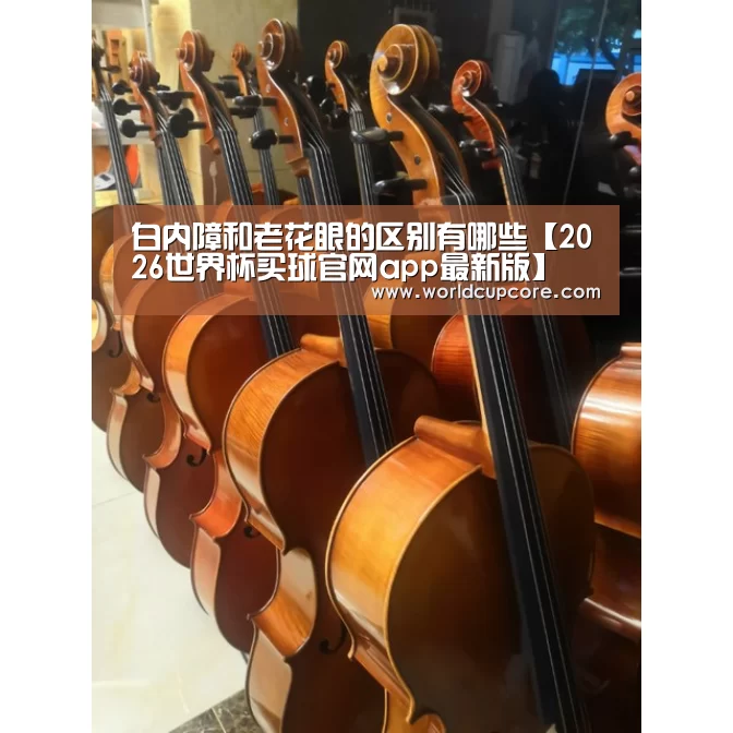2026世界杯买球官网app最新版