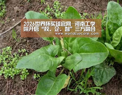 2026世界杯买球官网-河南工学院开启“校、企、智”三方融合新模式(图2) 2026世界杯买球官网app下载地址