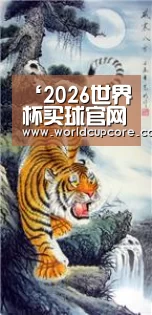 2026世界杯买球官网